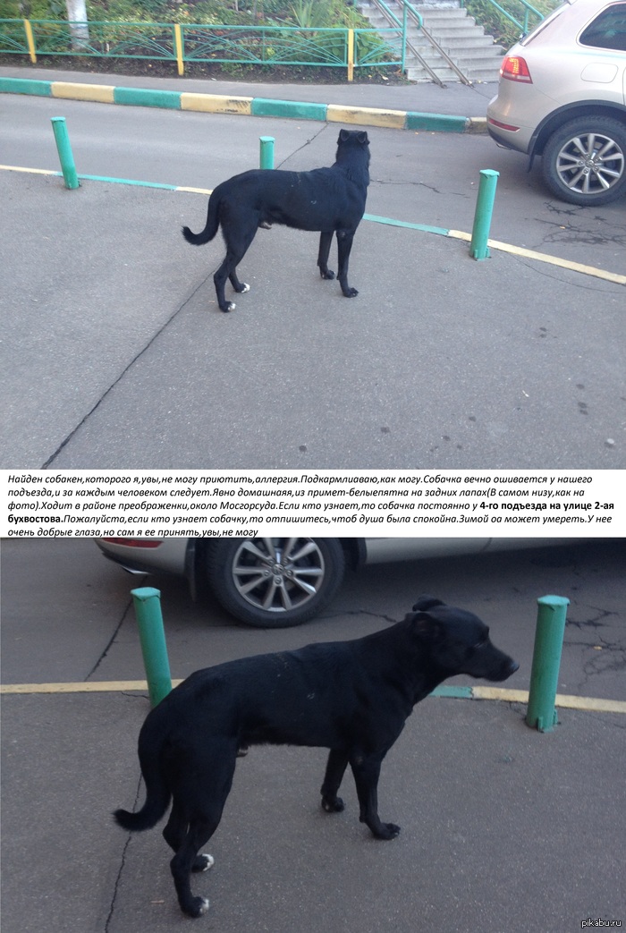 ��������,��� ����� ������� �����.�� ������� ���� ����� ������