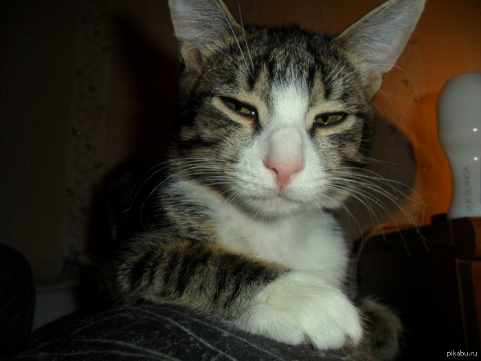 ��� ������� �� ��� �� ���������