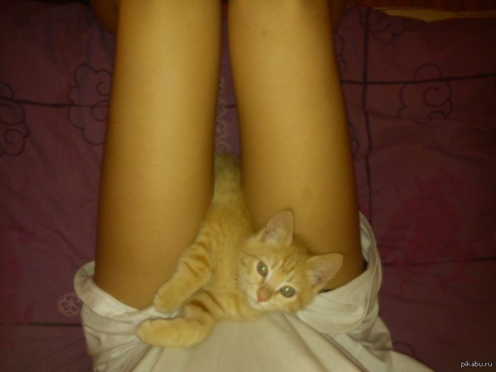 ��� ��� �� �������: " � ���,� �� ���"