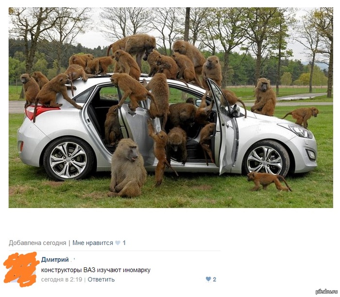 ��� �������� � ��������