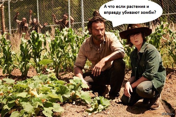   ? Plants vs Zombies feat Walking Dead