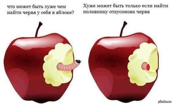 Половинка есть у яблока. Анекдот про червяка и яблоко. Червь в яблоке. Яблоко с червяком. Плохое яблоко.
