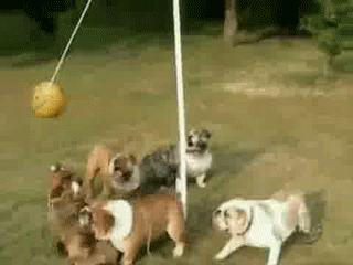 ����������� ��� �������.