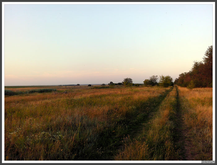 Просто красивое фото