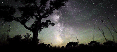 �������� ����