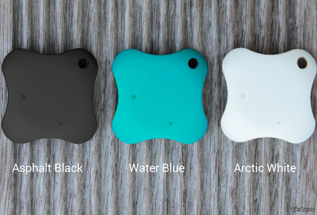 Lapa � ����� ���������� �����