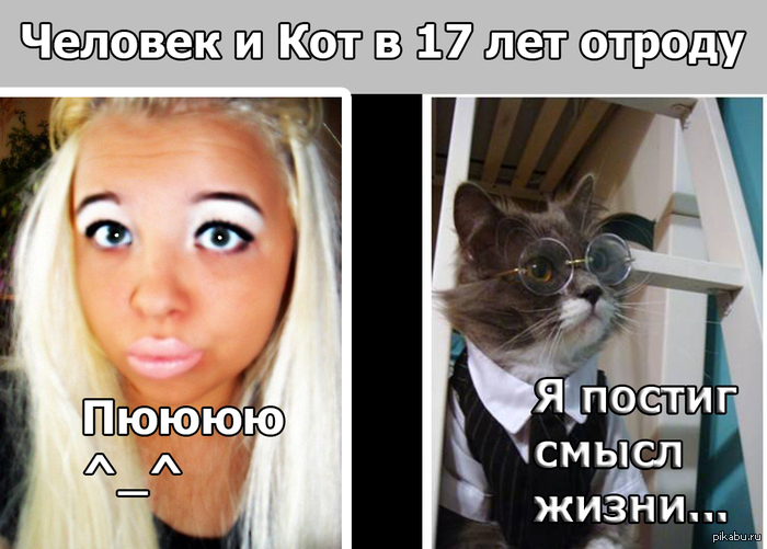 Человек VS Кот