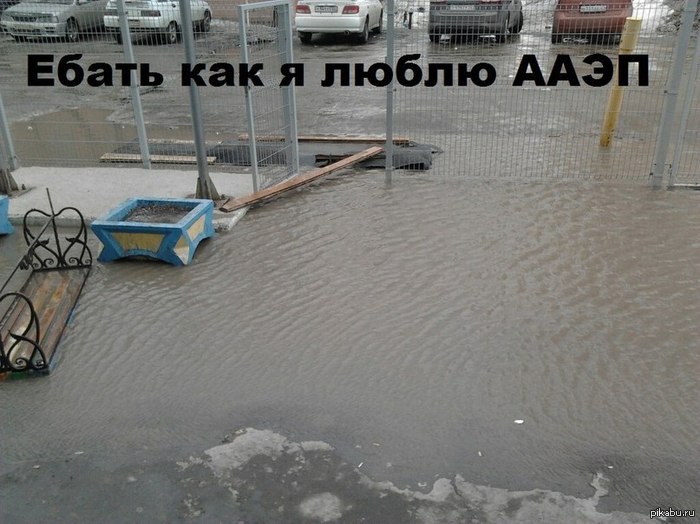 ������ � ��������