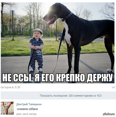 �������� �� �� ������ (�� ���)