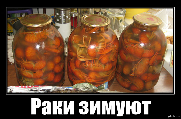 ���� ������.