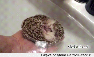    )