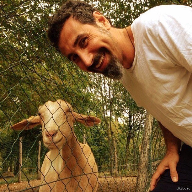 Есть у них что то общее....