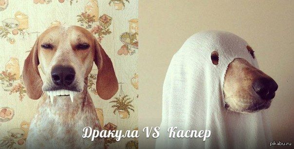 ������� vs ������