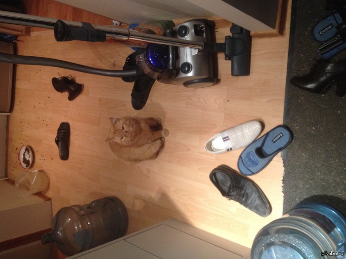 Ко мне приходил Сережка и мы с ним поиграли немножко...