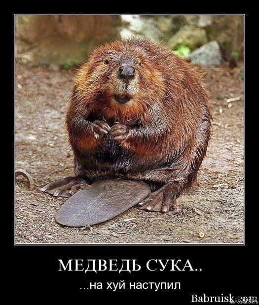 Просто оставлю это здесь