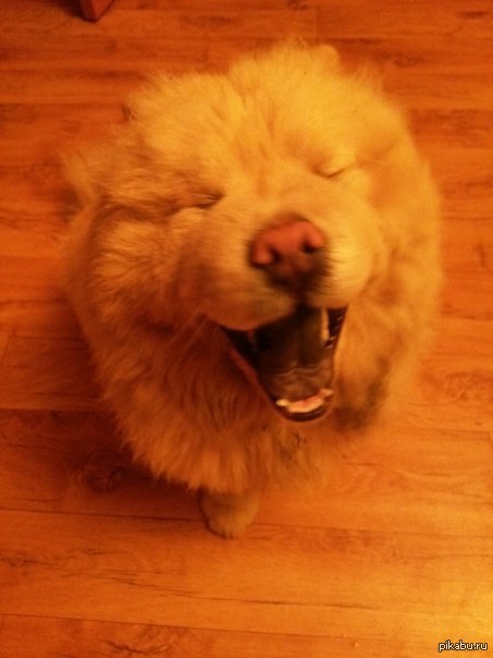 ����� ���������������� ������, � ��� �������� ������� �������)))