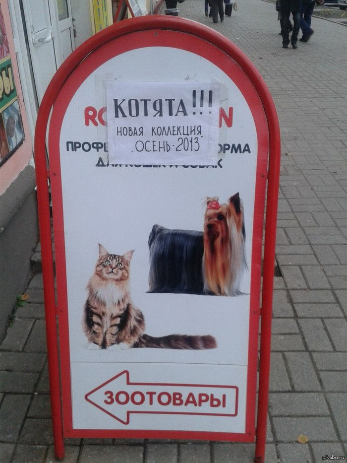 ����� �����