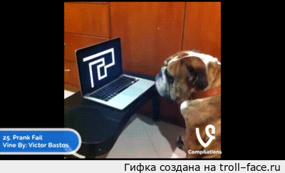 �������� ������