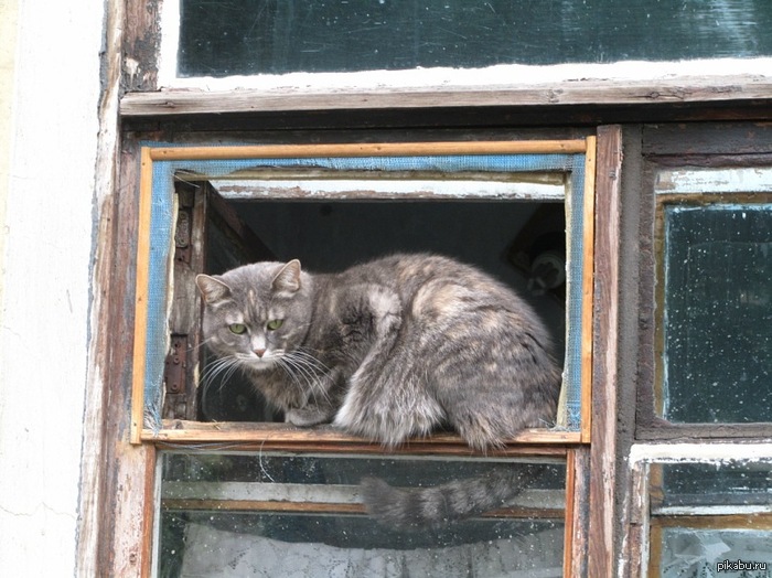 ��������� ���