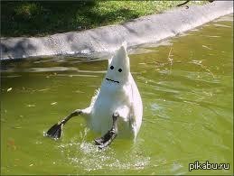 �� ����� ����, ���������! ���� ����