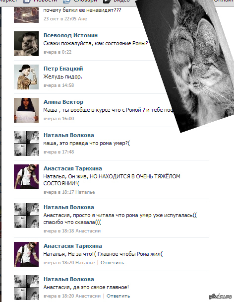 И снова.....о Желуде.куда катится мир...