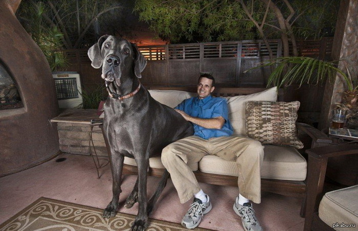 ���� ���������� ������ - ����� ������� �� � ����.