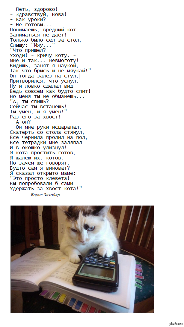 Котенок стих текст. Вредный кот стихотворение.