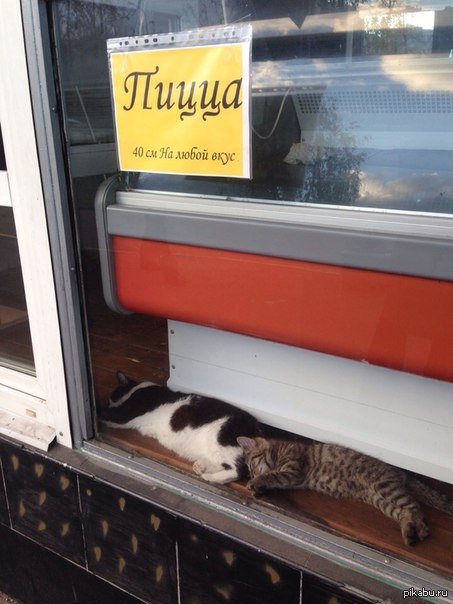 Пожалуй тут есть я не стану...