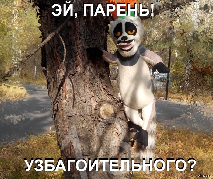 �������� ��� �� �������