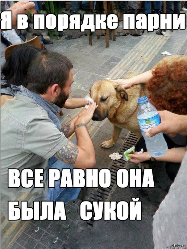 картинка все нормально онлайн картинка все нормально