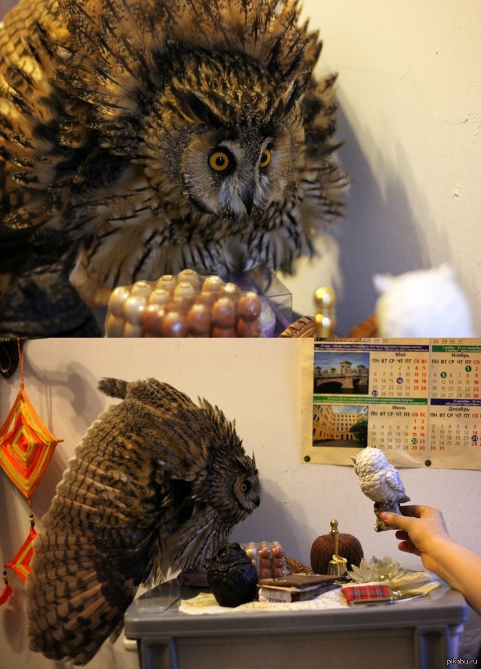 ������� ���� �� ���������.