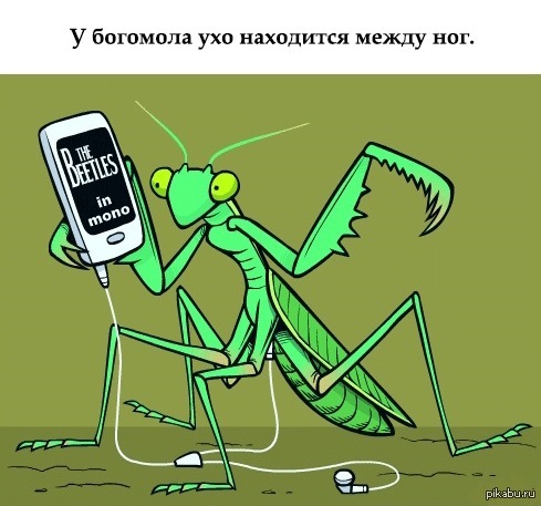 ��� ����� �� ������ ������� �_�