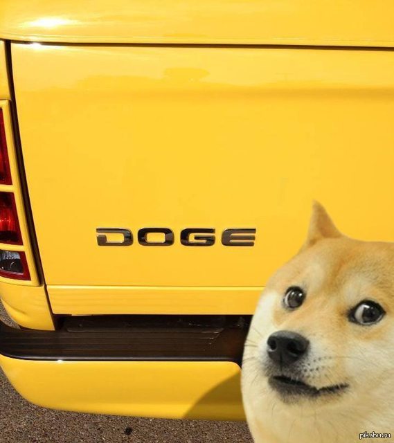 Собака мем. Доги Мем. Doge собака. Dodge собака.