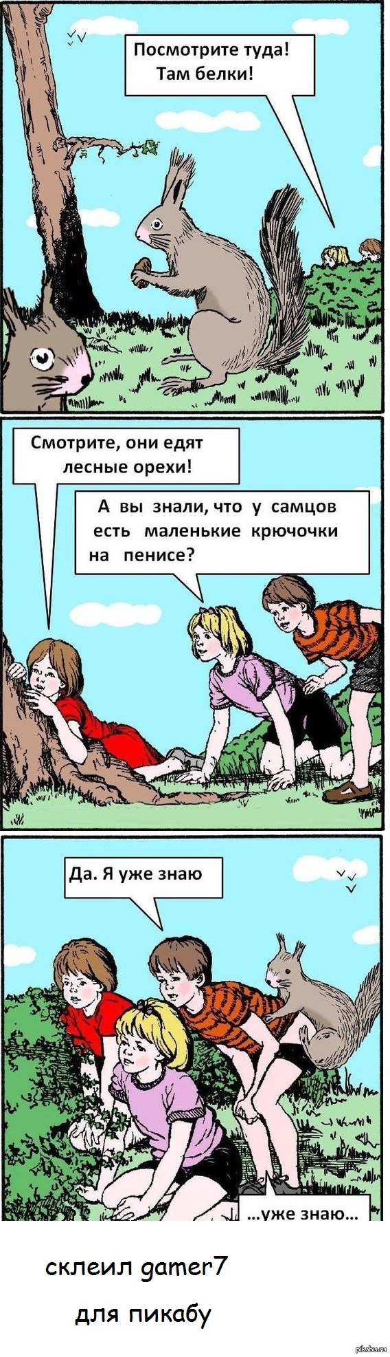 белки