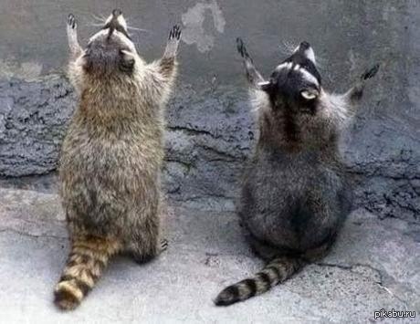 �, ��������!