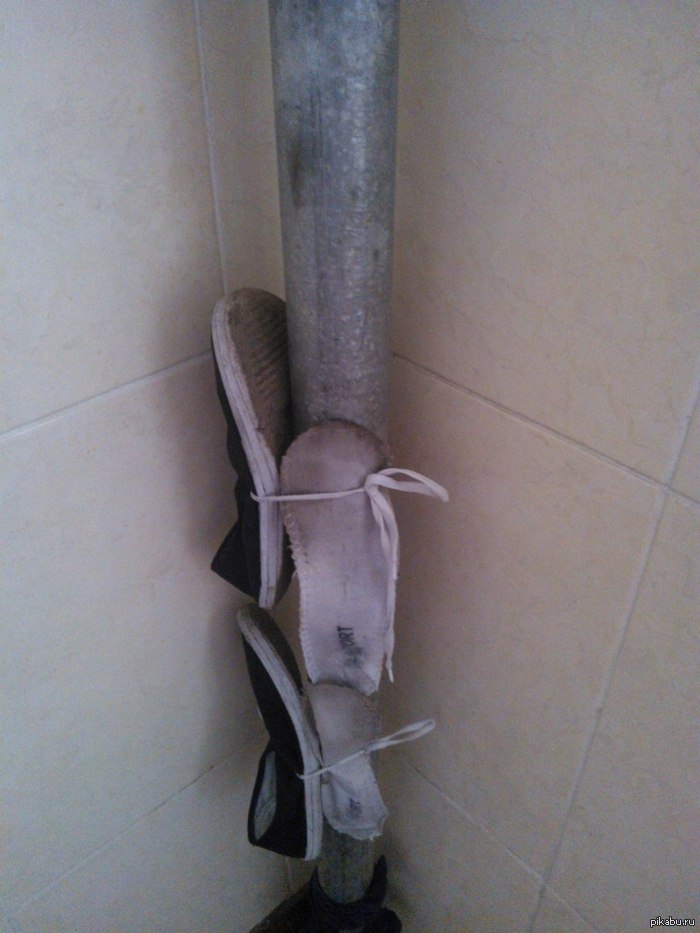 ����� �������� ���������