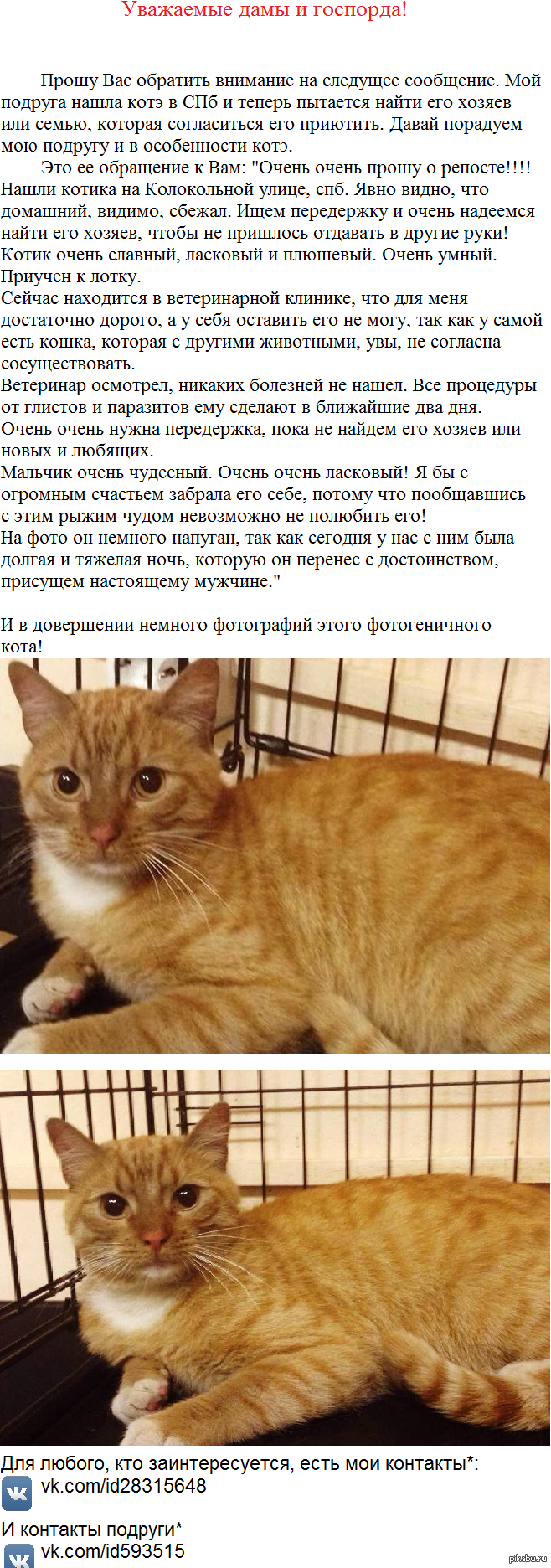 �������� "������ �������� ����" � ���.