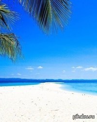 �������� �����