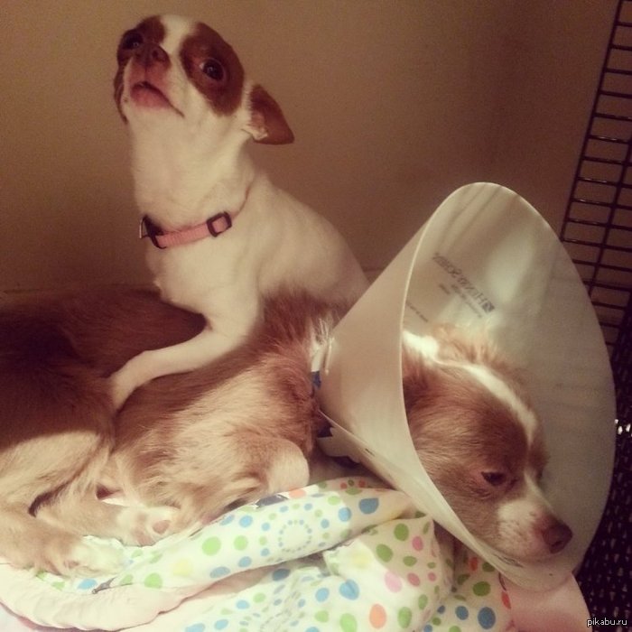 Эх, и кончилась пора мимолётная =)