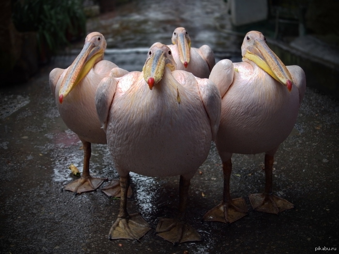 ����-������ !