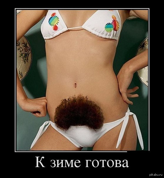 Днем комсомола, готова к зиме картинка прикол