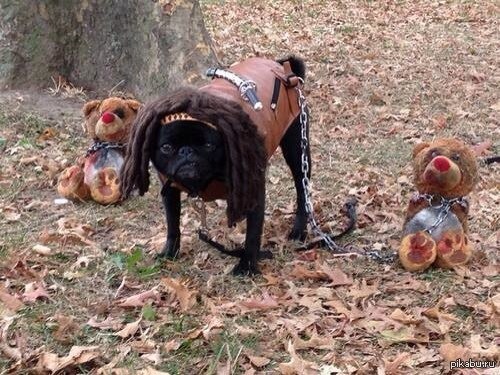 � ������, ��� ����� ������������ ������� :)