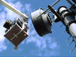 Нашли большой тайник белки.