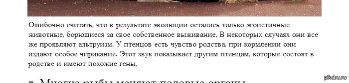    .          http://pikabu.ru/story/_1654218