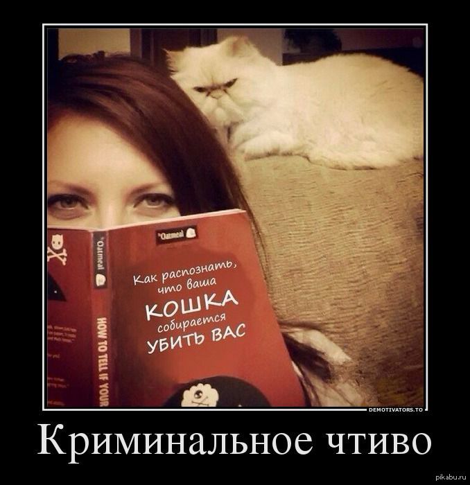 Криминальное чтиво | Пикабу