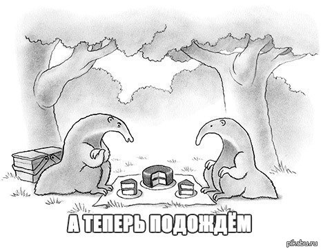 ������ ��������� :)