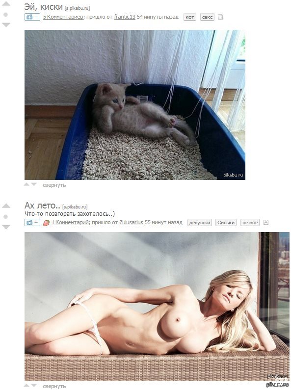 Combo - cat, NSFW, Coincidence, Boobs