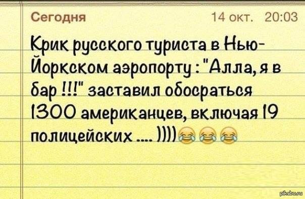 Алла, я в бар! | Пикабу