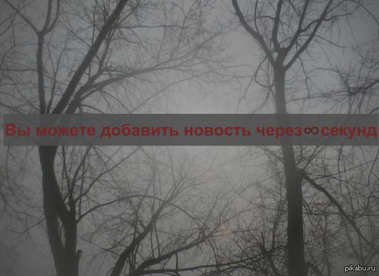 ����� ������ �����������