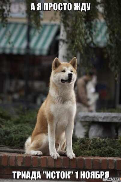 "Исток" 1-го ноября!